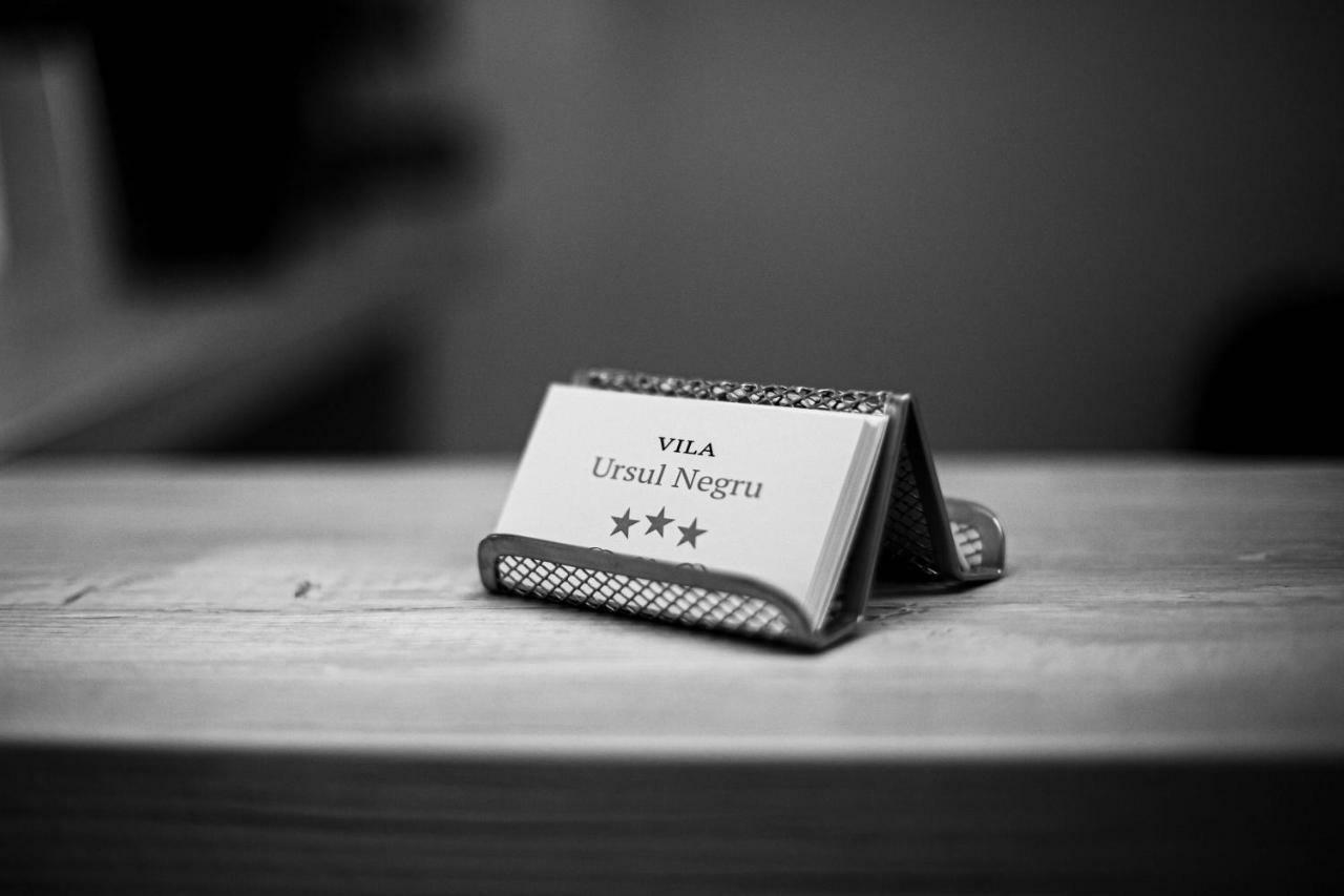 Vila Ursul Negru Sovata Eksteriør bilde